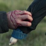 Кадр из фильма Агнец 2021